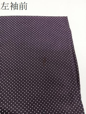 平和屋着物＊夏物　小紋　ドット柄　洗える着物　CABI3799xi