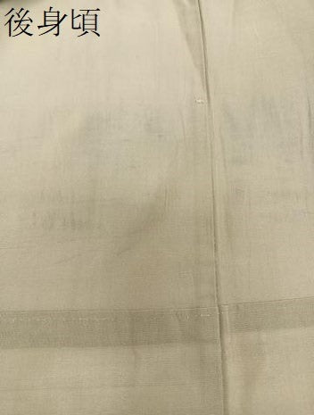 平和屋着物＊夏物　紗紬　織左衛門　成り物　反端付き　正絹　逸品　CABI3804xi