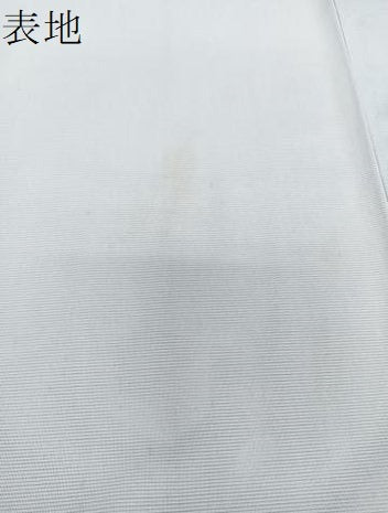 平和屋着物＊夏物　訪問着　絽　斜縞　洗える着物　CABI3839xi