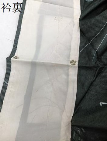 平和屋着物＊夏物　小紋　絽　鹿　黒地　洗える着物　CABI3840xi