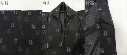 平和屋着物＊夏物　小紋　紗紬　井桁絣　黒地　正絹　逸品　CABI3842xi