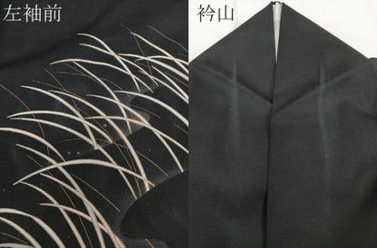 平和屋着物＊夏物　訪問着　絽　流水草文　黒地　金彩　洗える着物　CABI3860xi