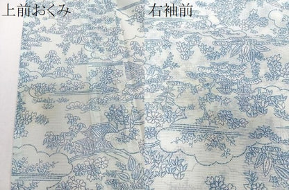 平和屋着物＊夏物　小紋　絽　風景文　洗える着物　CABI3863xi