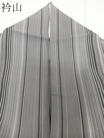 平和屋着物＊夏物　小紋　縦絽　縞　正絹　逸品　CABI3871xi