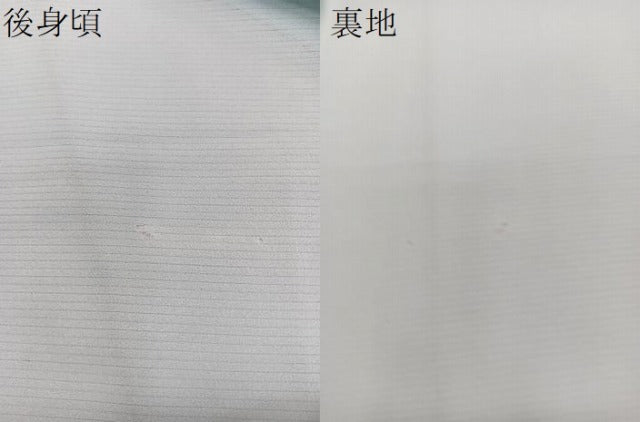 平和屋着物＊夏物　訪問着　絽ちりめん　枝草花文　暈し染め　洗える着物　CABI3936xi