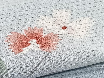 平和屋着物＊夏物　訪問着　絽ちりめん　枝草花文　暈し染め　洗える着物　CABI3936xi