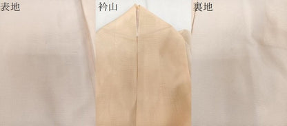 平和屋着物＊夏物　訪問着　絽　枝草花文　暈し染め　金彩　洗える着物　CABI3937xi