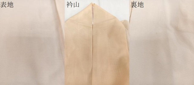 平和屋着物＊夏物　訪問着　絽　枝草花文　暈し染め　金彩　洗える着物　CABI3937xi