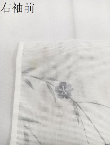 平和屋着物＊夏物　訪問着　絽　流水雪輪花蝶文　洗える着物　CABI3939xi