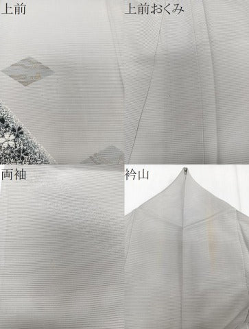 平和屋着物＊夏物　訪問着　絽　舞花文　正絹　逸品　CABI3970xi