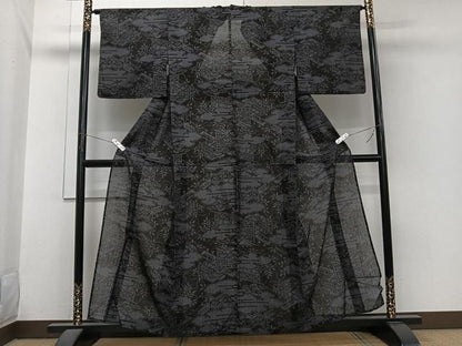 平和屋着物＊夏物　夏結城　100亀甲　雲取り風景花文　正絹　逸品　CABI3981xi