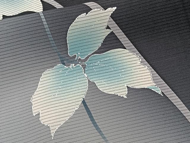 平和屋着物＊夏物　訪問着　絽　草花文　暈し染め　黒地　正絹　逸品　CABI3987xi