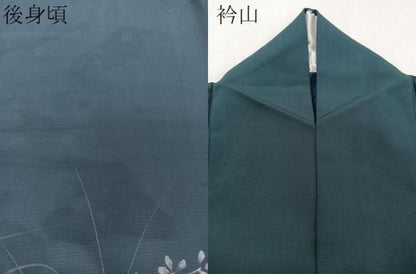 平和屋着物＊夏物　訪問着　絽　手描き　草花シルエット　正絹　逸品　CABI3991xi