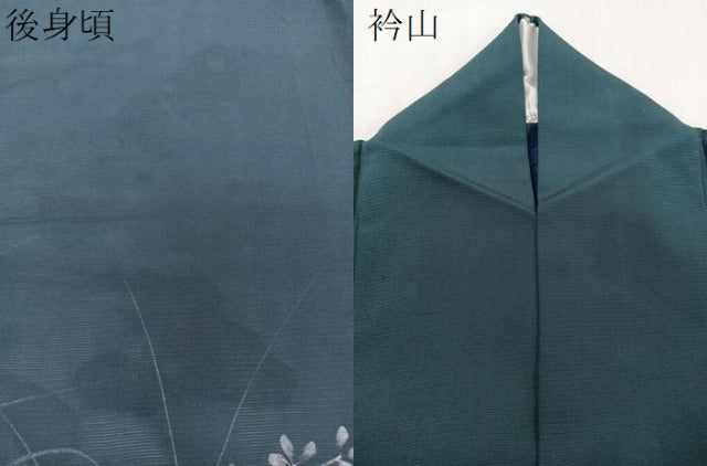 平和屋着物＊夏物　訪問着　絽　手描き　草花シルエット　正絹　逸品　CABI3991xi