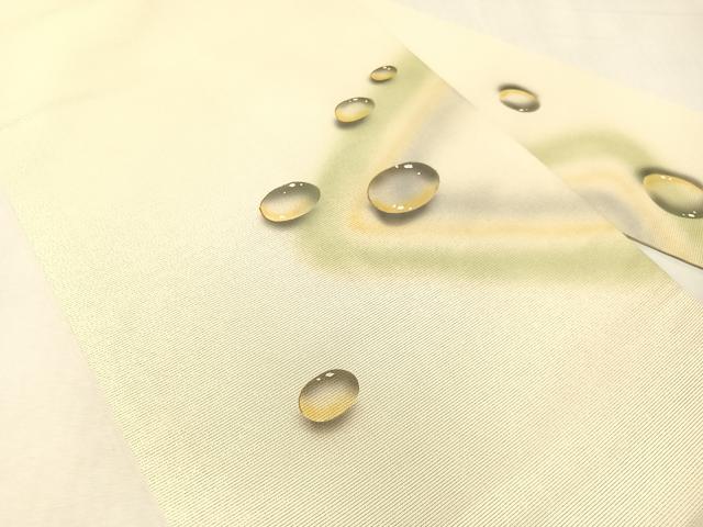 平和屋着物●九寸名古屋帯　手描き　水玉　金通し地　正絹　逸品　CABI4150vp