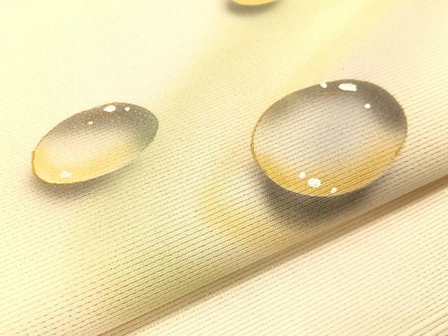 平和屋着物●九寸名古屋帯　手描き　水玉　金通し地　正絹　逸品　CABI4150vp