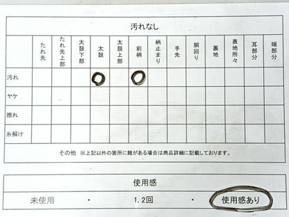 平和屋着物◎六通柄袋帯　唐織　立涌牡丹文　金銀糸　正絹　逸品　CABI4443nb