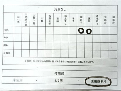 平和屋着物◎両面　六通柄袋帯　唐織　夢紀行　金銀糸　正絹　逸品　CABI4447nb