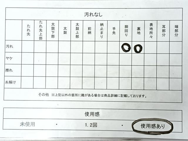 平和屋着物◎両面　六通柄袋帯　唐織　夢紀行　金銀糸　正絹　逸品　CABI4447nb