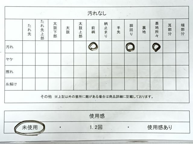 平和屋着物◎塩瀬　九寸名古屋帯　作家物　手描き　笹竹文　正絹　逸品　未使用　CABI4532nb