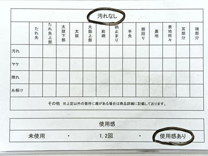 平和屋着物◎六通柄袋帯　唐織　草花文　金銀糸　正絹　逸品　CABI4636nb
