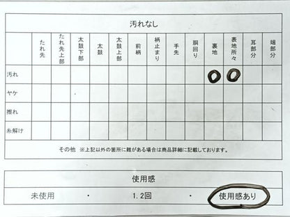 平和屋着物◎六通柄袋帯　唐織　舞花文　金銀糸　正絹　逸品　CABI4769nb