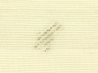 平和屋着物＊夏物　西陣　九寸開き名古屋帯　すくい織　杜若　金銀糸　正絹　逸品　CABI5323rv