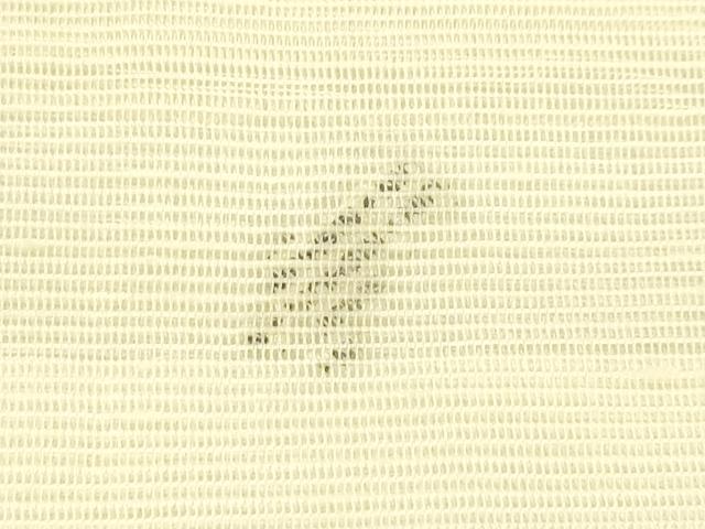 平和屋着物＊夏物　西陣　九寸開き名古屋帯　すくい織　杜若　金銀糸　正絹　逸品　CABI5323rv
