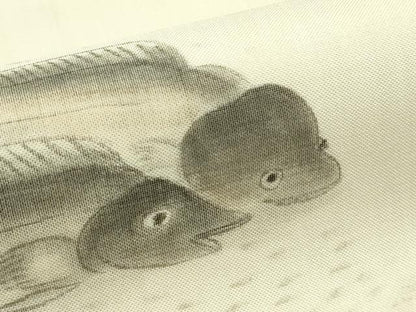 平和屋着物＊夏物　九寸名古屋帯　作家物　手描き　魚　正絹　逸品　CABI5342rv