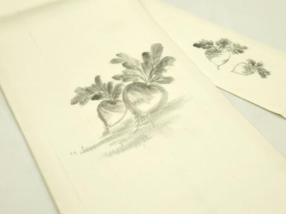 平和屋着物＊夏物　九寸名古屋帯　作家物　手描き　成り物　蕪　正絹　逸品　未使用　CABI5423rv