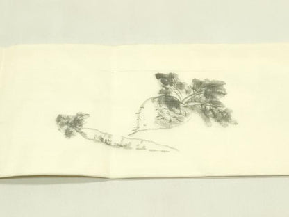 平和屋着物＊夏物　九寸名古屋帯　作家物　手描き　成り物　蕪　正絹　逸品　未使用　CABI5423rv