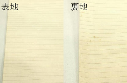 平和屋着物＊夏物　絽塩瀬　九寸名古屋帯　作家物　手描き　風景文　正絹　逸品　CABI5485rv