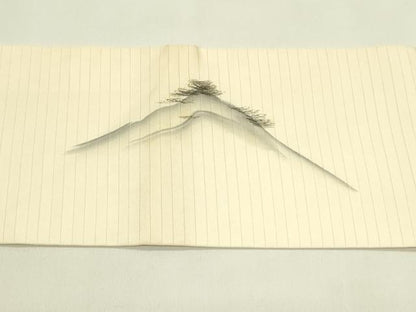 平和屋着物＊夏物　絽塩瀬　九寸名古屋帯　作家物　手描き　風景文　正絹　逸品　CABI5485rv