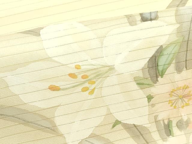 平和屋着物＊夏物　絽塩瀬　九寸名古屋帯　手描き　草花文　正絹　逸品　CABI5549rv