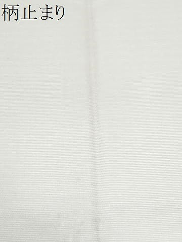 平和屋着物＊夏物　六通柄袋帯　薫る風　トンボ　枝葉文　金銀糸　正絹　逸品　CABI5604fb