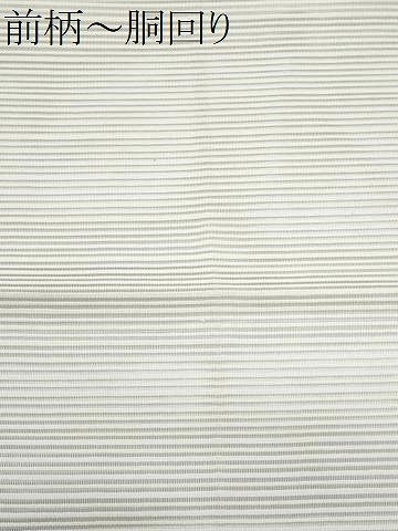 平和屋着物＊夏物　八寸名古屋帯　絽綴れ　抽象文様　金銀糸　正絹　逸品　CABI5675fb