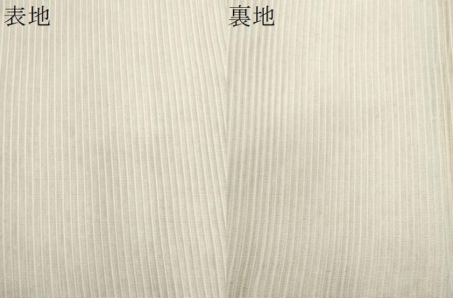 平和屋着物＊夏物　太鼓柄袋帯　絽綴れ　枝椿文　金銀糸　正絹　逸品　CABI5704fb