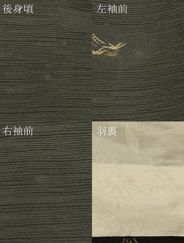 平和屋着物＃羽織　寿光織　笹竹文　黒地　金銀糸　正絹　逸品　CABI6104in