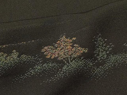 平和屋着物＃羽織　寿光織　風景文　黒地　金糸　正絹　逸品　CABI6105in