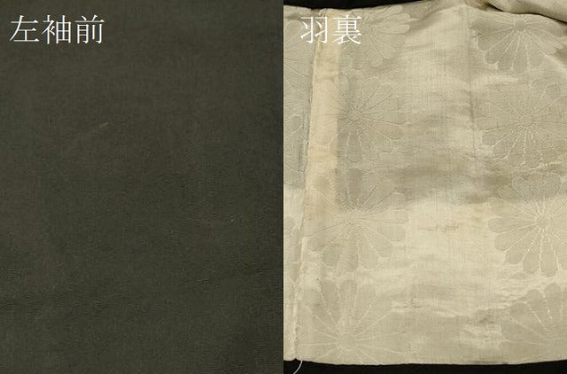 平和屋着物＃羽織　寿光織　菊づくし　黒地　金糸　正絹　逸品　CABI6124in