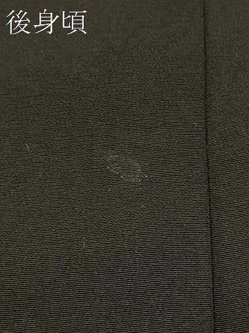 平和屋着物＃羽織　駒刺繍　枝梅文　黒地　金糸　正絹　逸品　CABI6132in