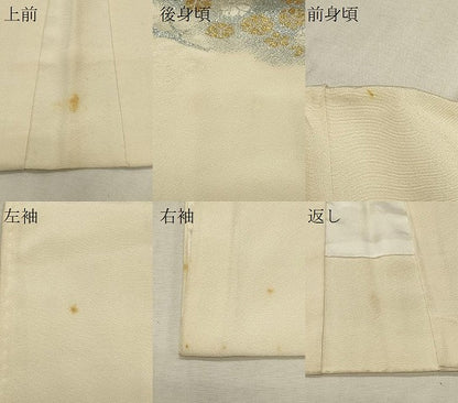 平和屋着物∞羽織　寿光織　草花文　金銀糸　正絹　逸品　CABI6224in