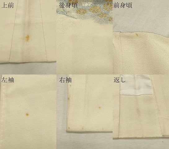 平和屋着物∞羽織　寿光織　草花文　金銀糸　正絹　逸品　CABI6224in