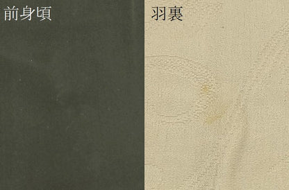 平和屋着物∞羽織　枝花文　黒地　正絹　逸品　CABI6250in