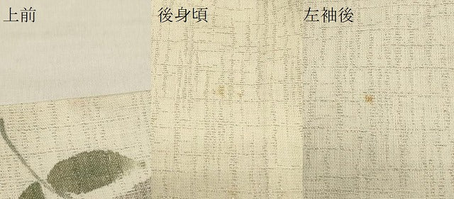平和屋着物∞羽織　単衣　枝葉文　金彩　銀通し地　正絹　逸品　CABI6256in