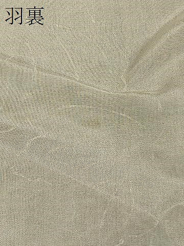 平和屋着物＃羽織　寿光織　枝垂れ花文　黒地　金糸　正絹　逸品　CABI6306in
