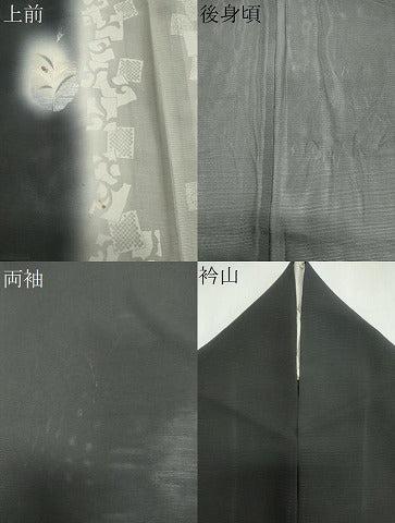 平和屋着物＊夏物　訪問着　作家物　絽　吉祥草花文　蛍暈し　黒地　正絹　逸品　CABI6448ou