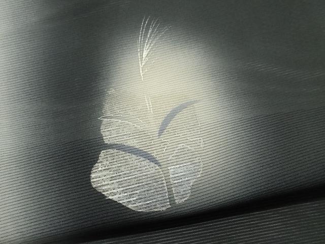 平和屋着物＊夏物　訪問着　作家物　絽　吉祥草花文　蛍暈し　黒地　正絹　逸品　CABI6448ou