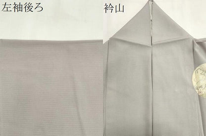 平和屋着物＊夏物　訪問着　絽　刺繍　草花丸文　蛍暈し　正絹　逸品　CABI6460ou