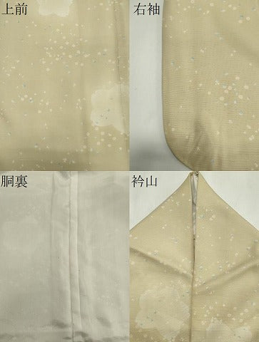 平和屋着物＊夏物　小紋　絽　舞花文　正絹　逸品　CABI6467ou